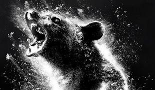 Появился первый постер к триллеру от Элизабет Бэнкс «Кокаиновый медведь»