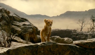 Вышел трейлер музыкального фильма «Муфаса: Король лев»