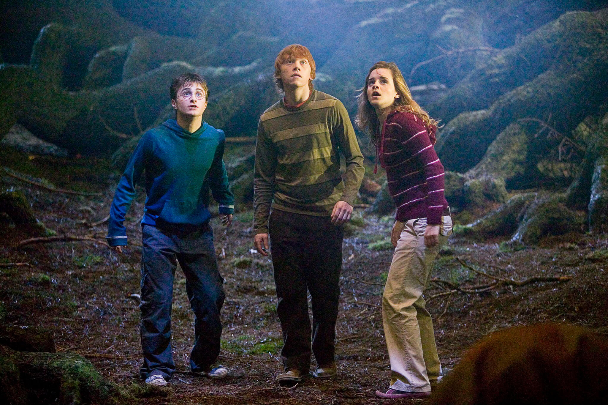 Кадр фильма «Гарри Поттер и Орден Феникса» // Warner Bros. Pictures